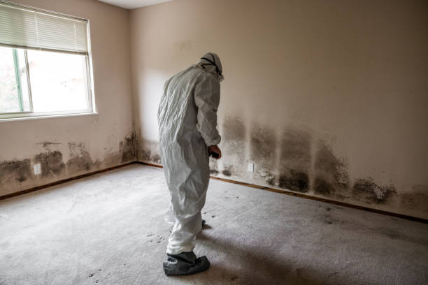 Best Industrial Mold Remediation  in Crystal Springs, MS